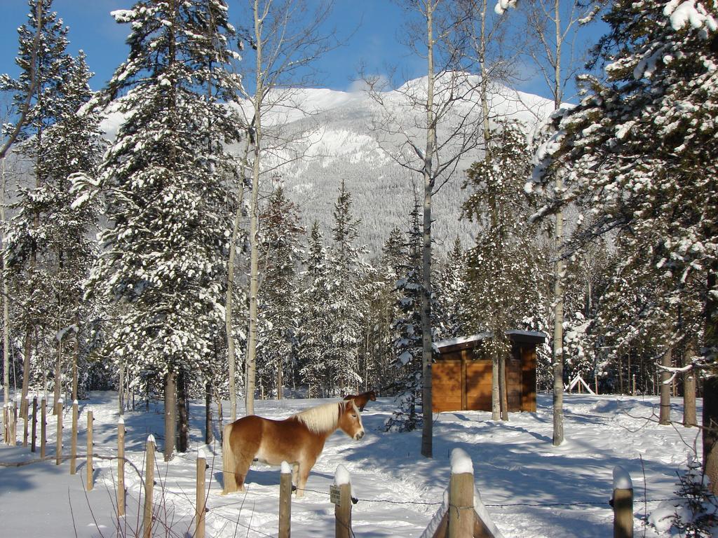 Mica Mountain Lodge & Log Cabins Tête Jaune Exterior foto